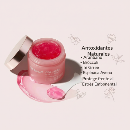 Collagen Jelly Cream — Antioxidantes
